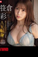 SONE-740 Pendatang Baru NO.1 STYLE Wanita Cantik - Sasakura Aya